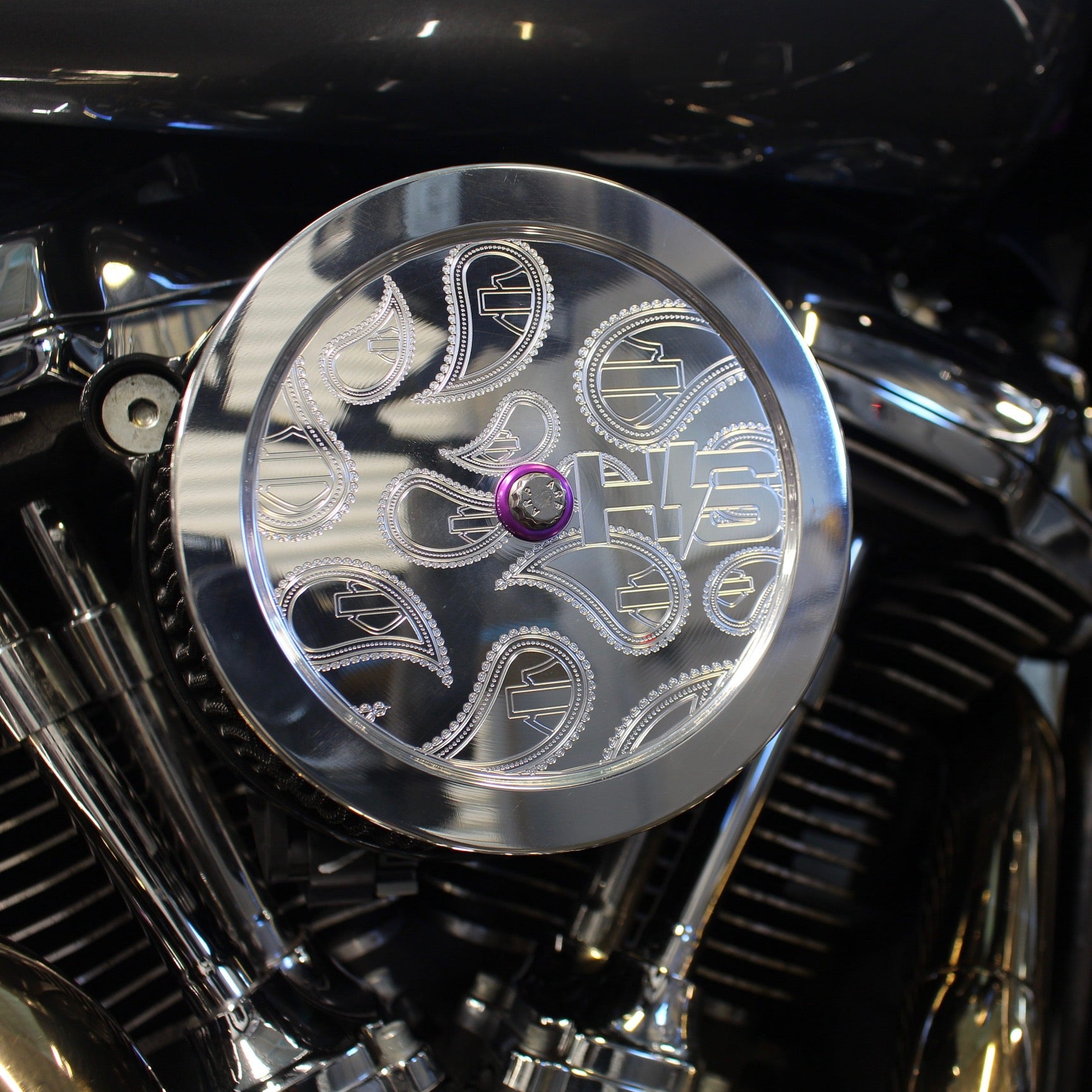 "Paisley" Air Cleaner Cover S&S / Arlen Ness